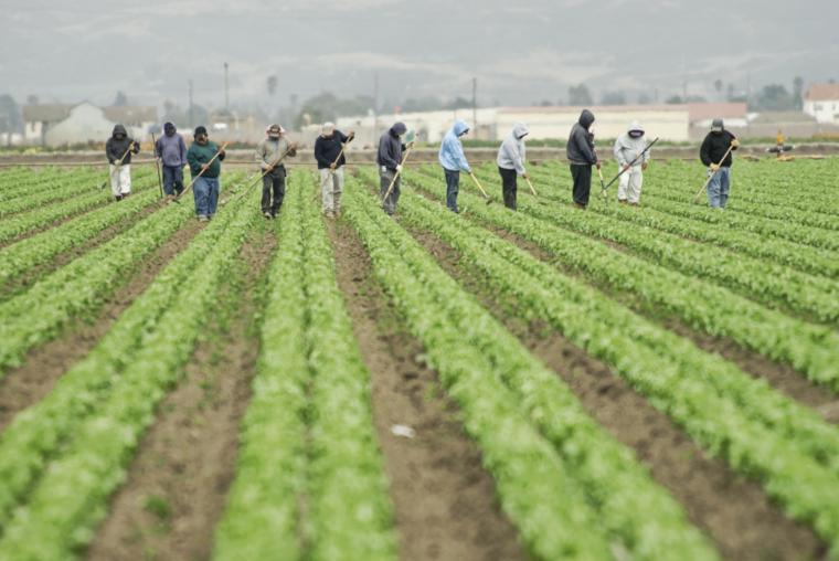 Workers out in a field.
