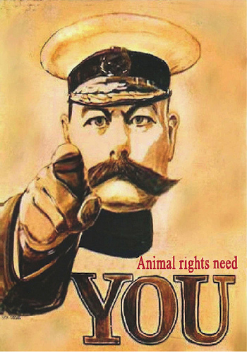 Animal rights need you image link to story
