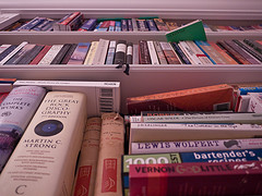 Books on a shelf image link to story