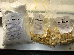 Bags of evidence image link to story