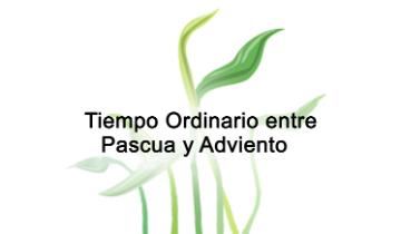 Tiempo Ordinario entre Pascua y Adviento - Tiempo Ordinario entre Pascua y Adviento Link to file