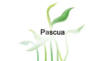 Pascua - Pascua Link to file