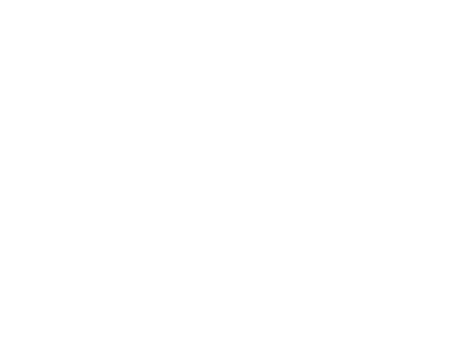 Belonging for All Bronco