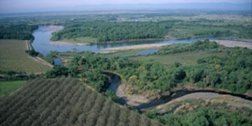 Riparian forests along the Sacramento River floodplain. Photo by Geoff Fricker, used with permission. 