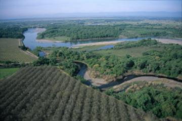 Riparian forests along the Sacramento River floodplain. Photo by Geoff Fricker, used with permission.
