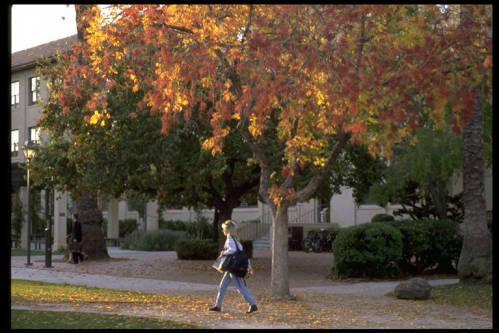 student walking in the fall in front of Kenna Hall