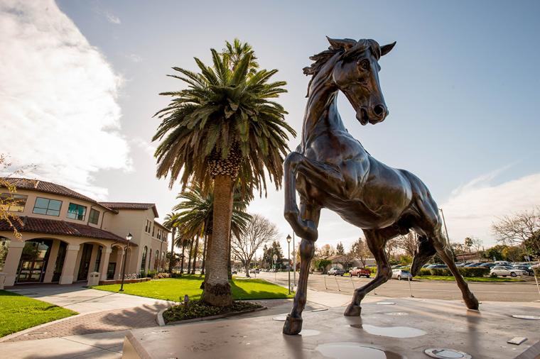 Bronze statue of a Bronco in front of a palm tree image link to story