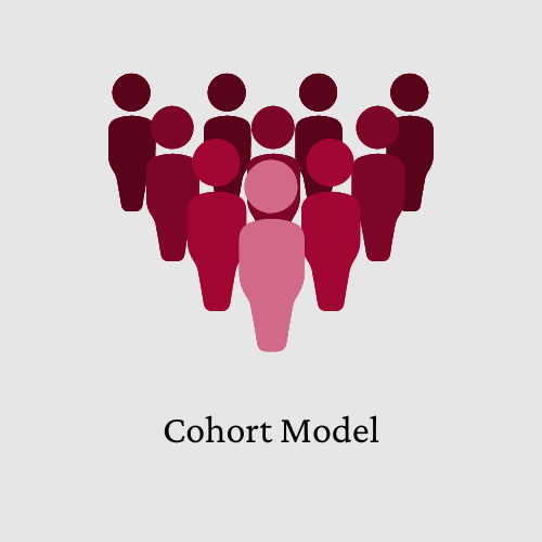 Cohort Model