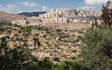 Israeli settlement in the West Bank near Za'atara. Photo by Ralf Roletschek, Wikimedia Commons.