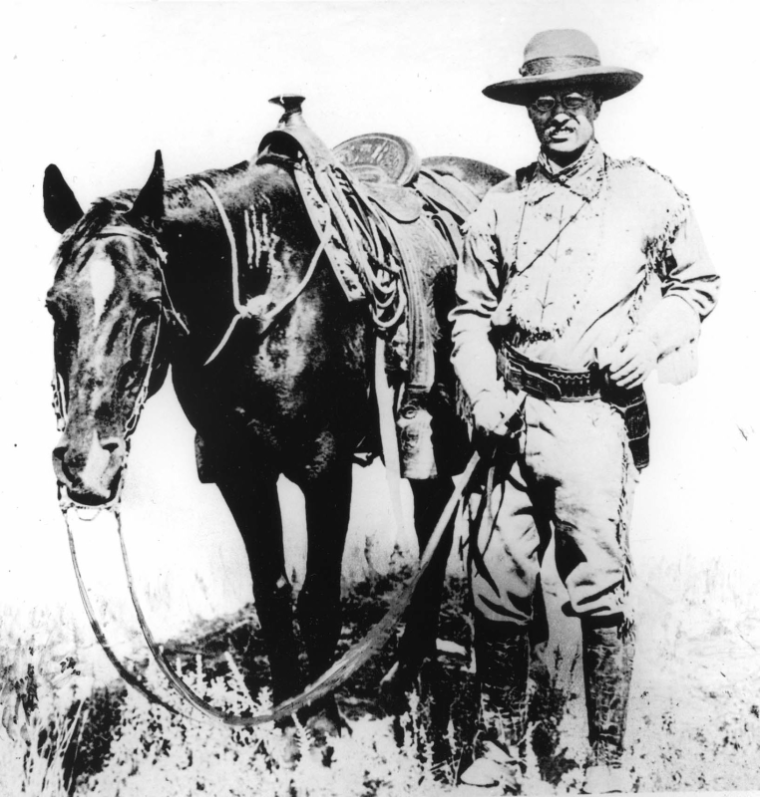 Theodore Roosevelt - Environmental Activists, Heroes, and Martyrs