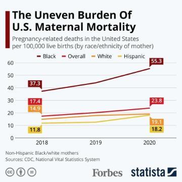 Forbes Maternal Mortality Graph