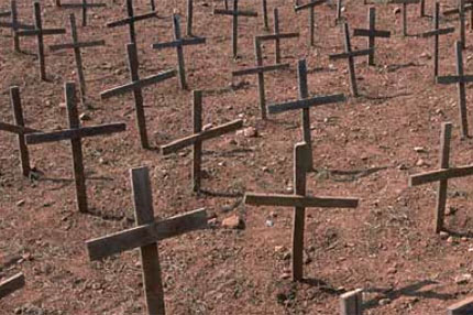 Numerous wooden crosses in a dry field.