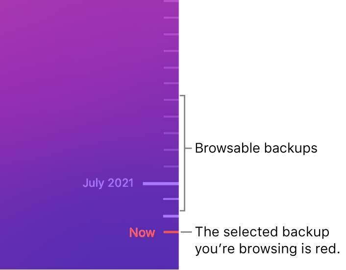 An image of the Time Machine browsable backups view.