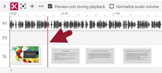 Panopto red timeline marker