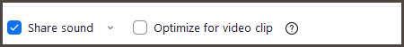 zoom share sound