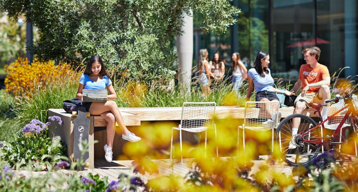 Students enjoying sitting outside on campus while studying or socializing 