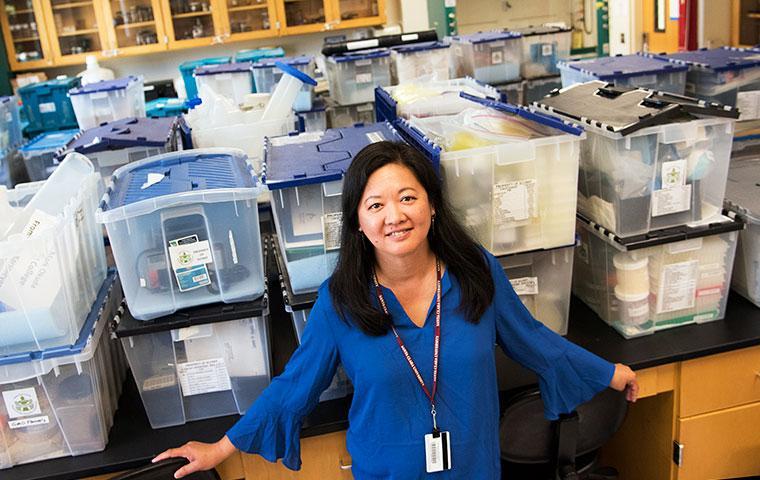 Katy Korsmayer in a lab standing in front of donated boxes image link to story