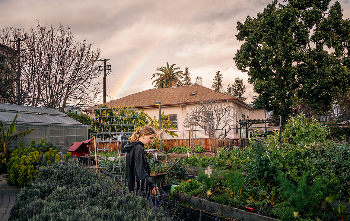 A student worker stands in a garden among rows of crops with a rainbow in the sky overhead.