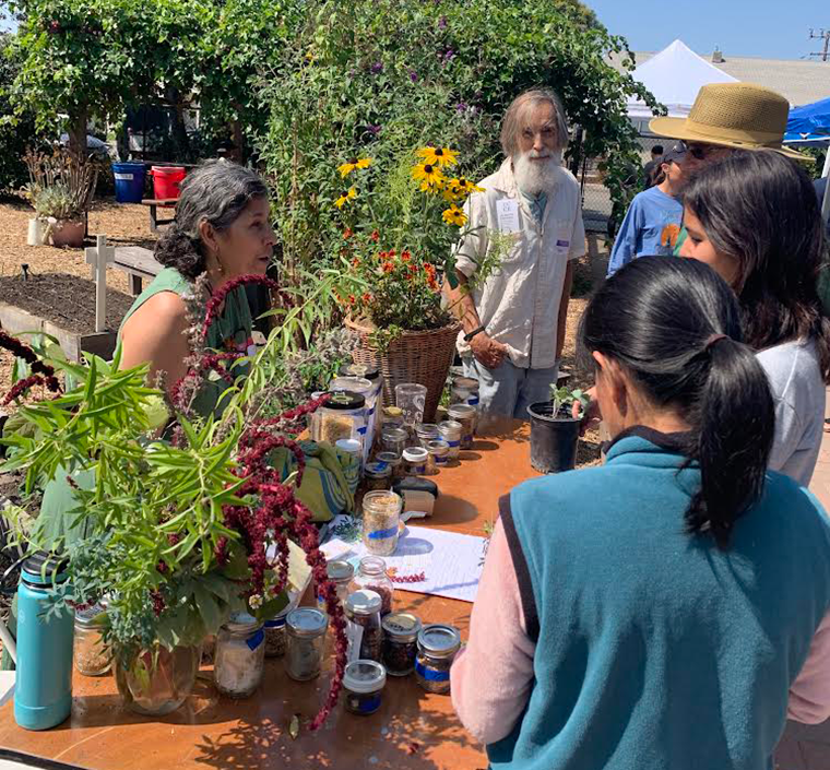 An older woman stands at a booth in a garden talking with people with jars of seeds in front of her.