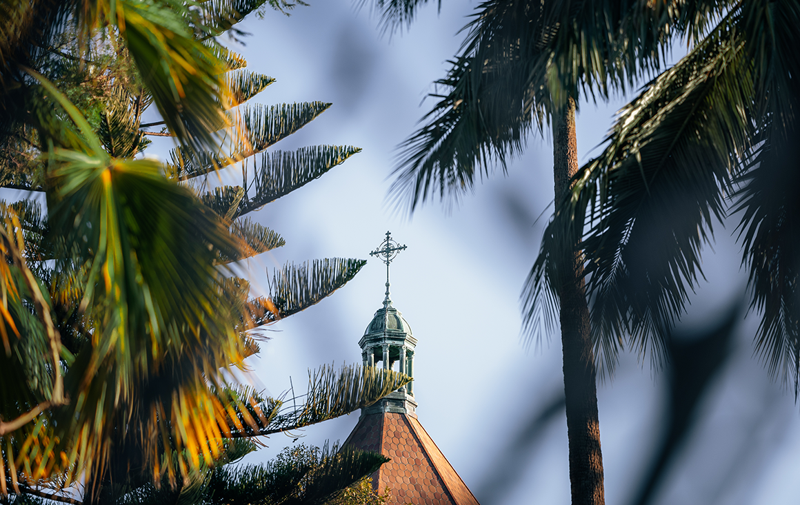 Through the foliage of trees, we get a distance view of the Mission's belfry topped with a cross.