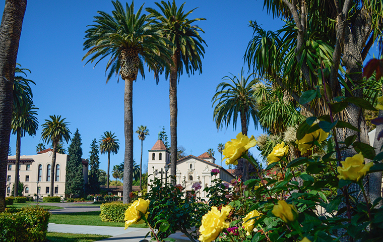 Mission Church with yellow flowers in foreground