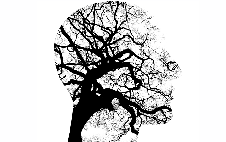 The outline of a head filled with a tree  image link to story