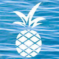 AlohaCloud Digital Networks