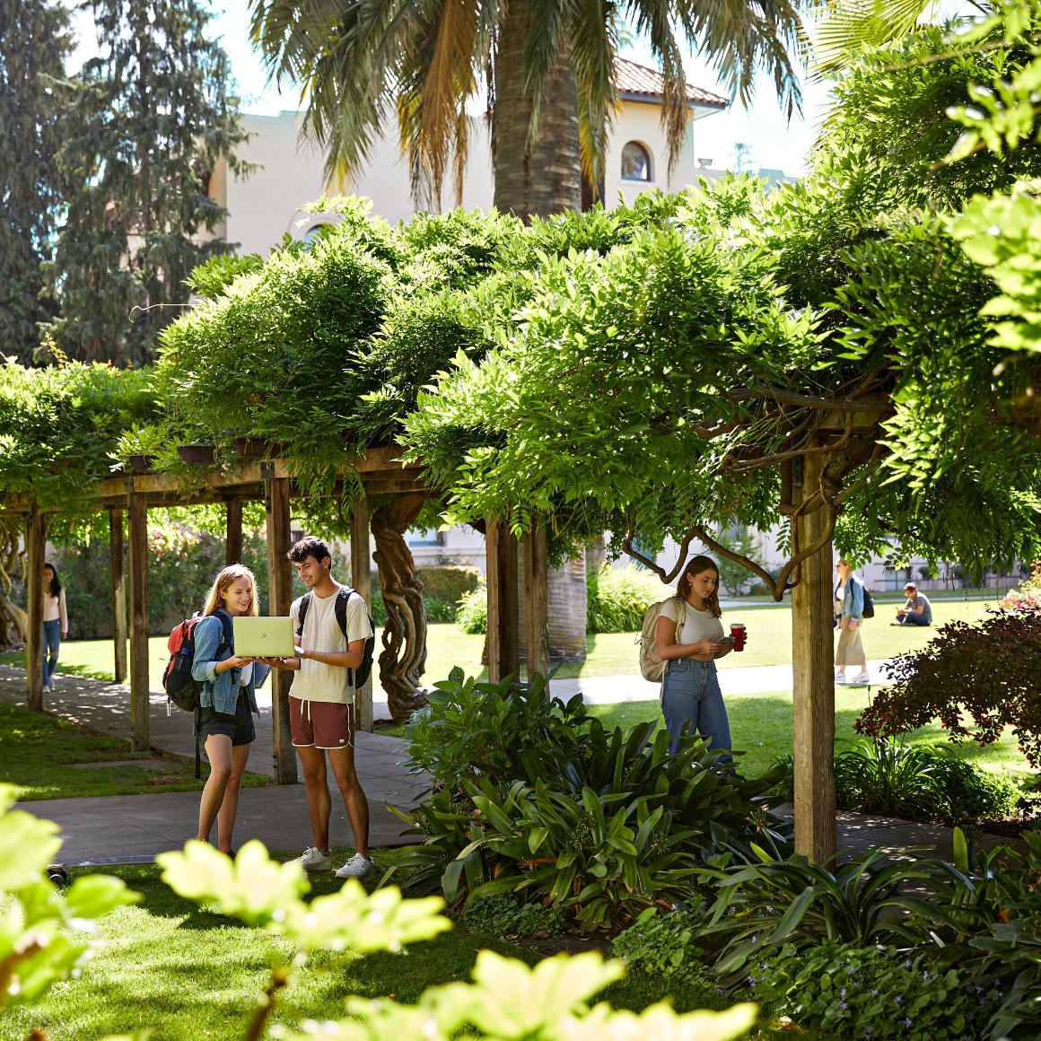 Students chatting and walk around a lush green campus.