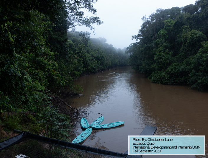 Decorative; Amazonian rainforest and river with bright blue kayaks