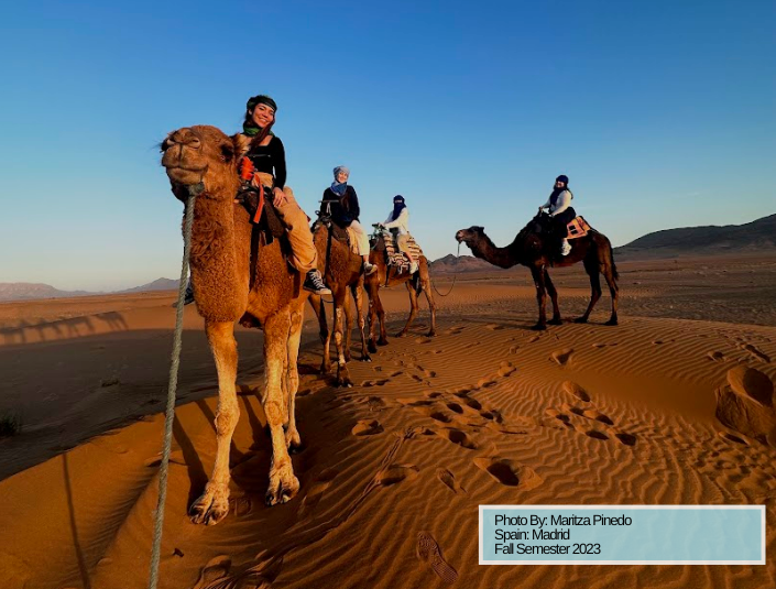 Decorative; students on camels in the desert