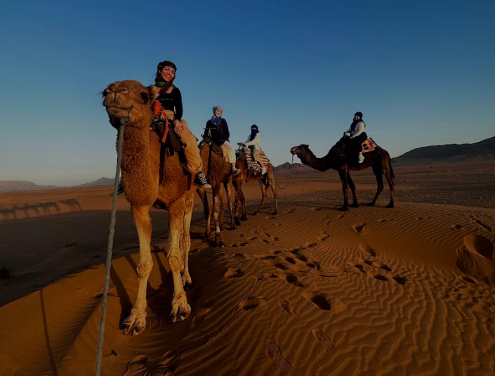 Decorative; students on camels in the desert