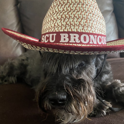Grey schnauzer laying on a couch wearing an SCU Broncos Sombrero