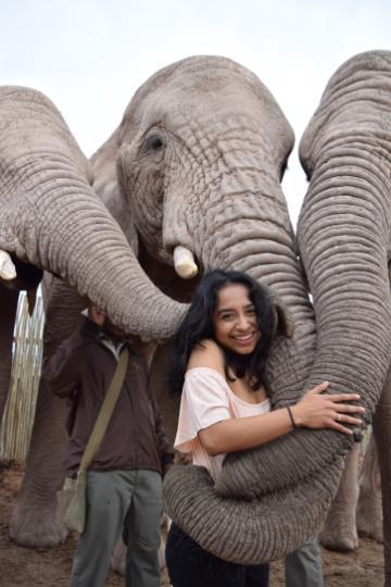 Carolina and elephants in S. Africa