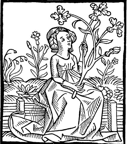 Lady and Flower Engraving