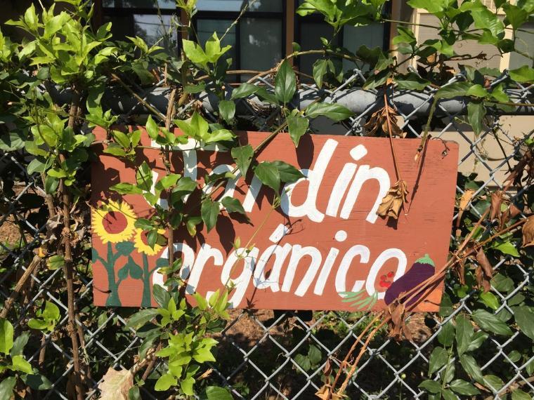 Jardin Organico sign on a metal fence, partially covered by greenery image link to story