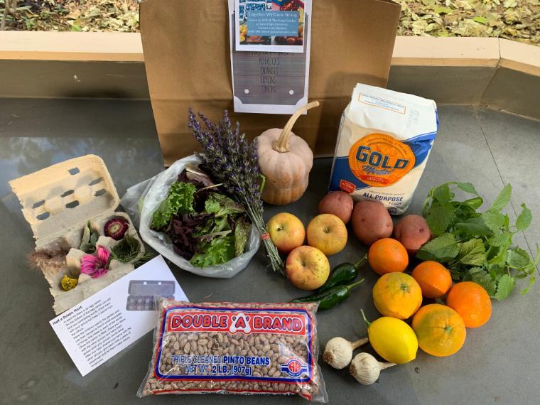 complete resiliency bag with Forge Garden produce, pantry items from Gardner neighborhood corner store, and family educational activity supplies image link to story