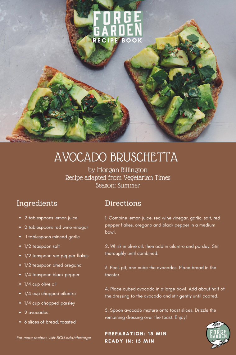 Avocado Bruschetta Recipe - Morgan Billington
