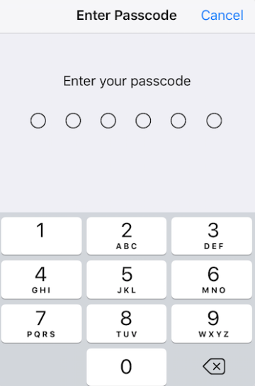 iOS Passcode Prompt (numeric keypad)