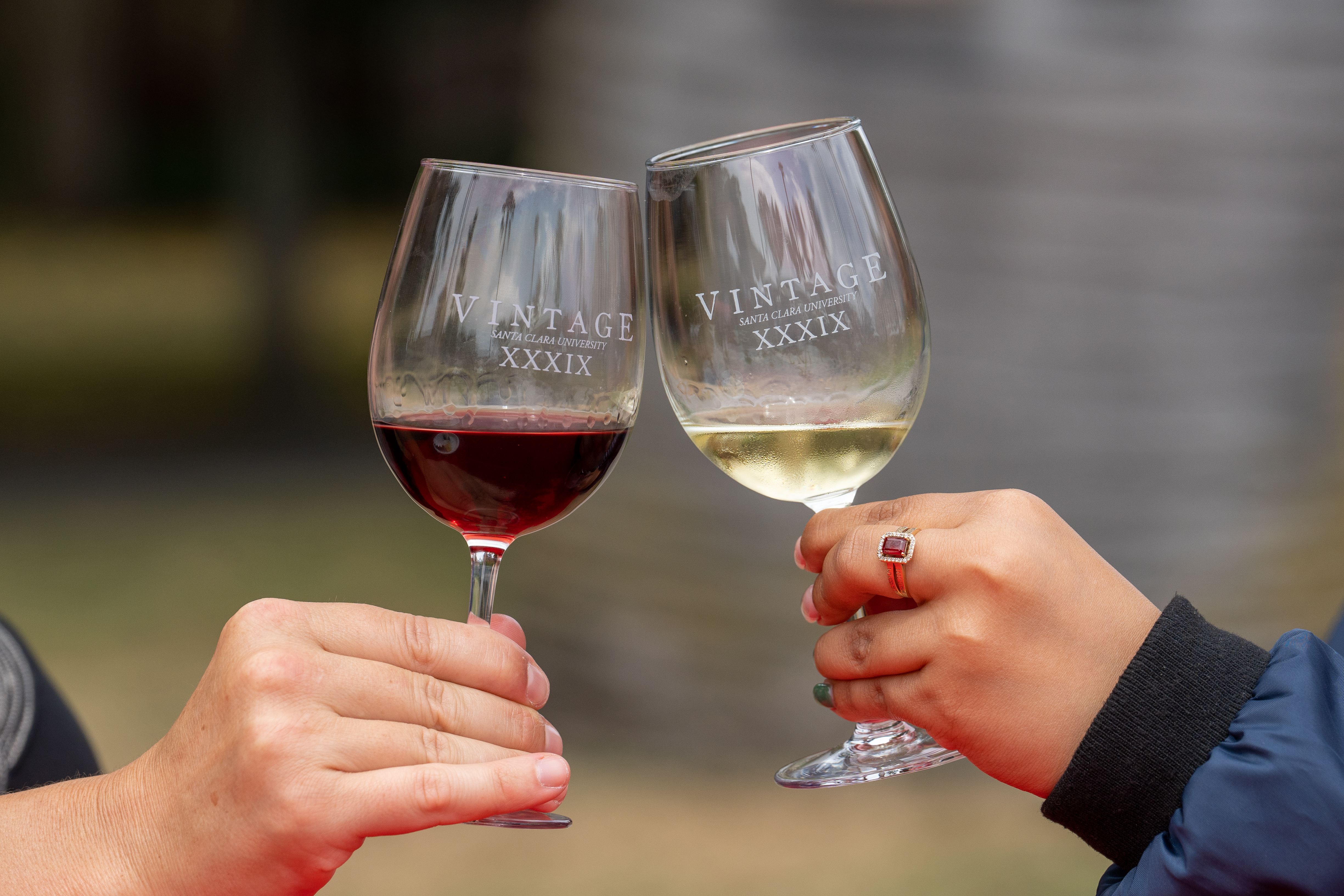 Two wine glasses cheersing 