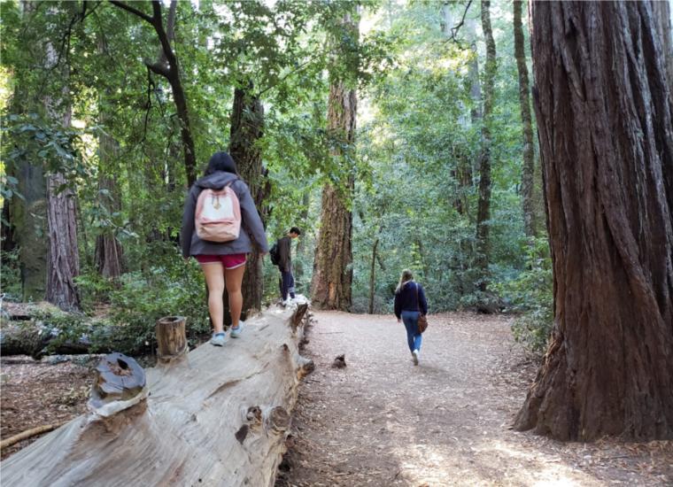 SCU students in Exploring Living Religions (RSOC 14) visited Big Basin Redwoods State Park, California's oldest state park, to explore how its venerable past connects to the complex relationship between nature and humanity in contemporary life. [Image courtesy of Valeriya Chulyukina, SCU '22.]
