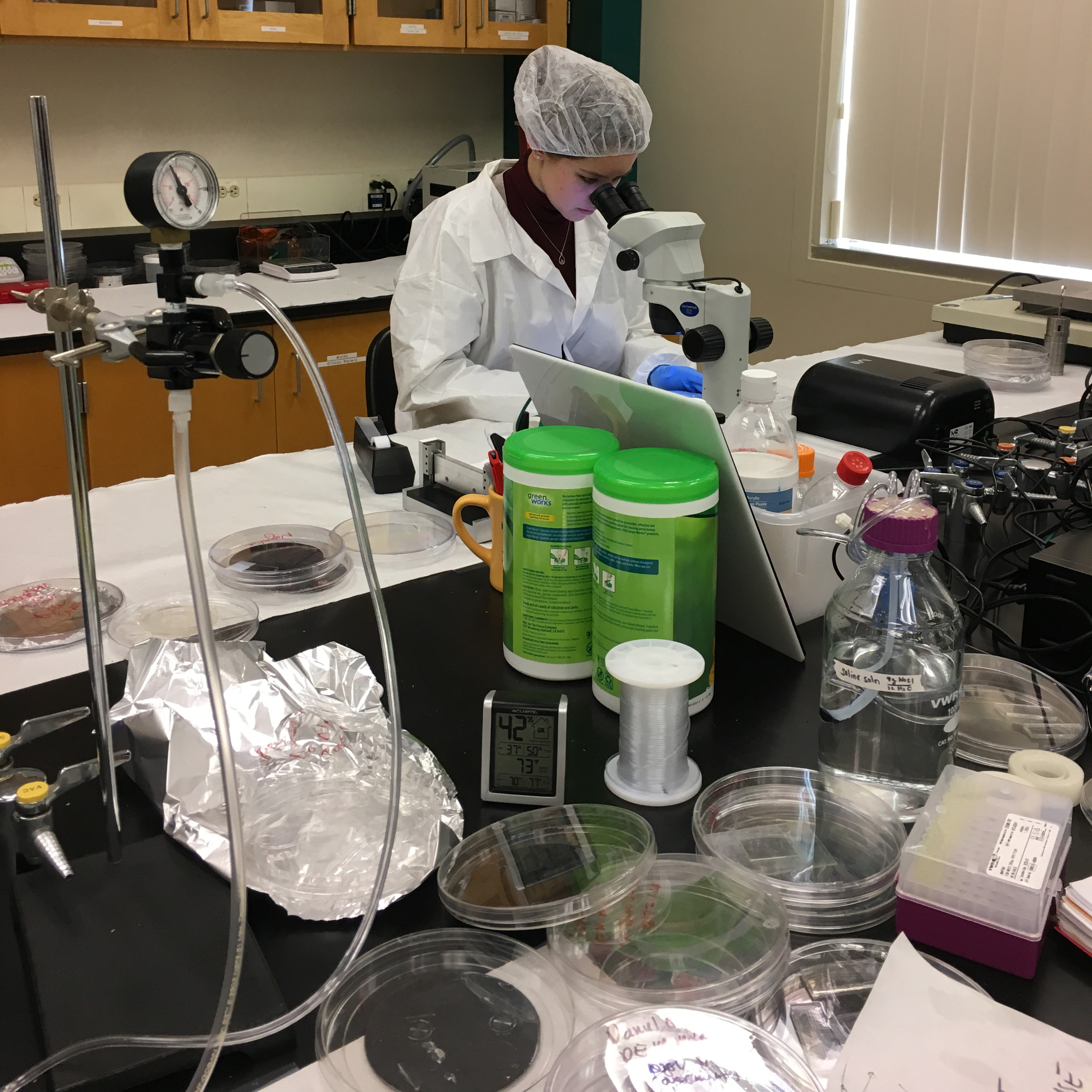 Female student at work in a bioengineering laboratory image link to story