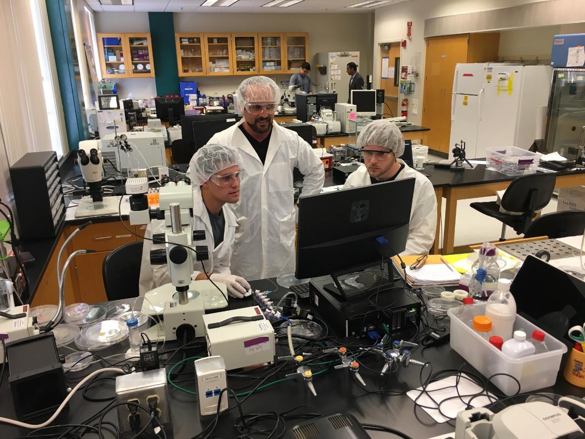 Faculty and students at work in a bioengineering laboratory