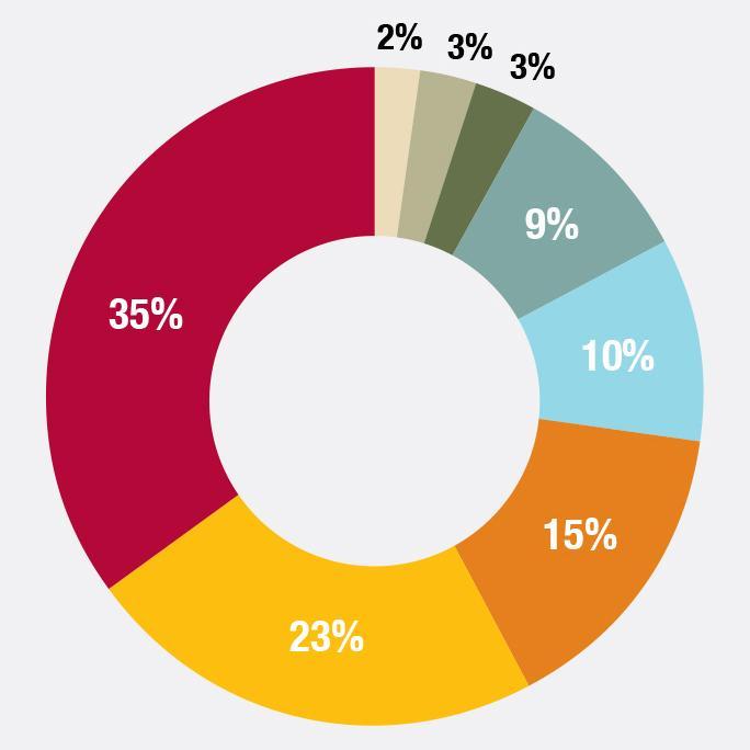 a pie chart infographic image link to story